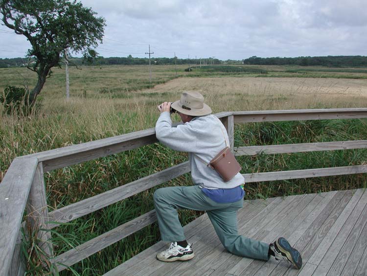 Dad birdwatching.jpg 83.9K